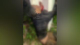 Bandido é Espancado e Amarrado em Poste Após Roubo de Moto no Interior de São Bernardo