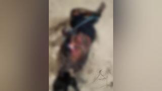 Corpo é encontrado com sinais de tortura em Itarema, Ceará
