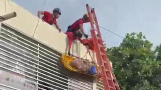 Bombeiros do Amazonas Deixa Corpo Cair Durante Resgate em Telhado