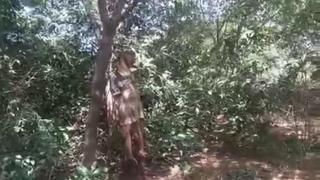 Corpo de homem é encontrado enforcado em área de mata em Goiana, PE
