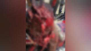 Dois suspeitos são massacrados e quatro armas são apreendidas em Gressier, no Haiti