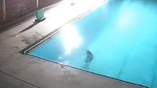 Homem de 69 anos morre afogado em piscina de shopping em Linden, Guiana