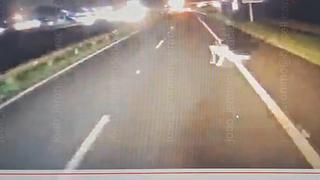 Pedestre morre após se jogar na frente de carreta na Rodovia Marechal Rondon, em Bauru