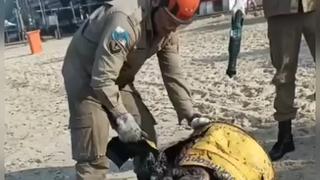 Dois corpos são encontrados dentro de barril na Praia da Bica, no Jardim Guanabara