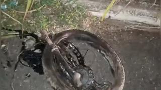 Motociclista morre após colisão frontal na BR-316, em Timon