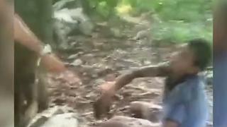 “RATO” Leva Massagem Terapêutica com Madeira, Mas Volta ao Trabalho com as Patas Quebradas