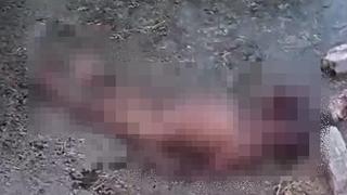 Corpo despido é encontrado dentro de curral em Petrolina, PE