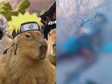 Capivara ninja assassina ataca e mata homem em estrada de Satubinha -MA