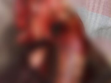 Homem é morto a golpes de machado em Vargem Grande: assassinato brutal choca comunidade rural
