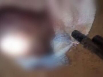 Vídeo mostra gangue exibindo cabeça humana em disputa criminosa na Nigéria