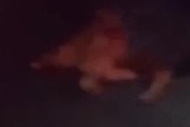 HOMEM MORRE APÓS POSSÍVEL ATROPELAMENTO NA BR-101