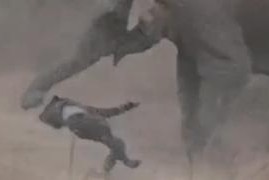 SELFIE FATAL: HOMEM É MORTO AO SE APROXIMAR DE ELEFANTE NA ÍNDIA