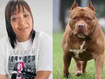 Mulher morre atacada pelo próprio cão na Cidade do Cabo