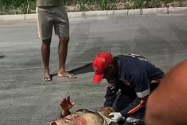 Acidente envolvendo caminhão deixa motociclista morto na BR-242