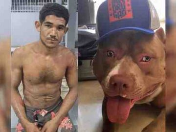 Criminoso enfrenta cachorro, perde a batalha e ainda leva bronca da mãe em Araioses no Maranhão