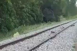 Homem tem corpo esmagado após acidente com trem no Camboja