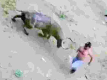Homem morre durante retomada de touradas em Espinal, na Colômbia