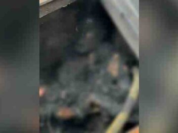 Homem morre após descarga elétrica em caixa de alta tensão nos fundos da UFPR, em Curitiba